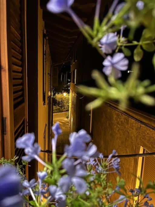 La Piccola Casa Al Lago - Intera Casa Con 3 Camere E 2 Box Salò Esterno foto