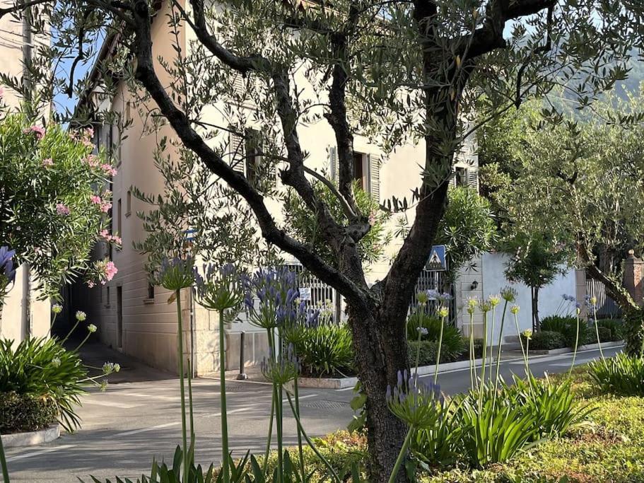 La Piccola Casa Al Lago - Intera Casa Con 3 Camere E 2 Box Salò Esterno foto
